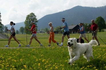 Tourismusverband Ramsau am Dachstein