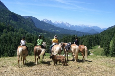 Quelle: Haflingerhof Gams