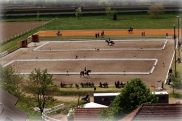 Quelle: www.reitstall-holzer.at