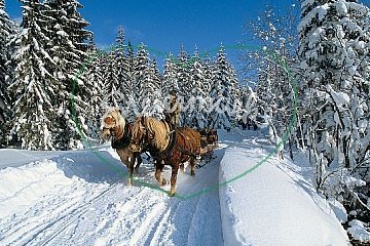 Quelle: www.foto.steiermark.com
