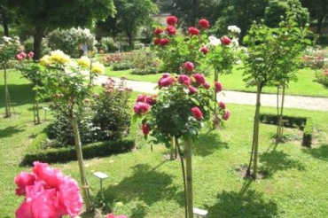 Quelle: www.rosarium.at