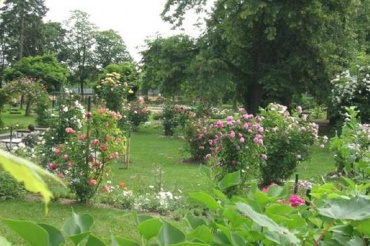 Quelle: www.rosarium.at
