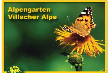 Quelle: www.alpengarten-villach.at