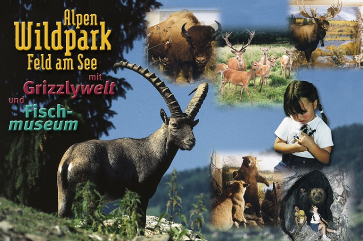 Alpen Wildpark Familie Scherzer