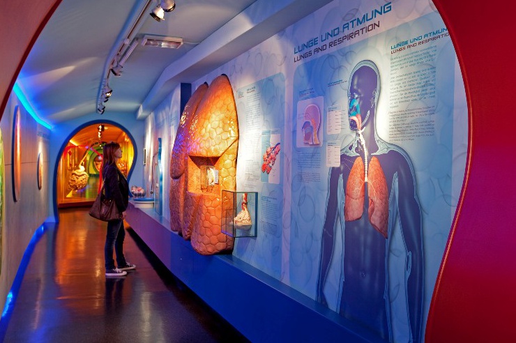 Haus der Natur in Salzburg Freizeitinfo.at