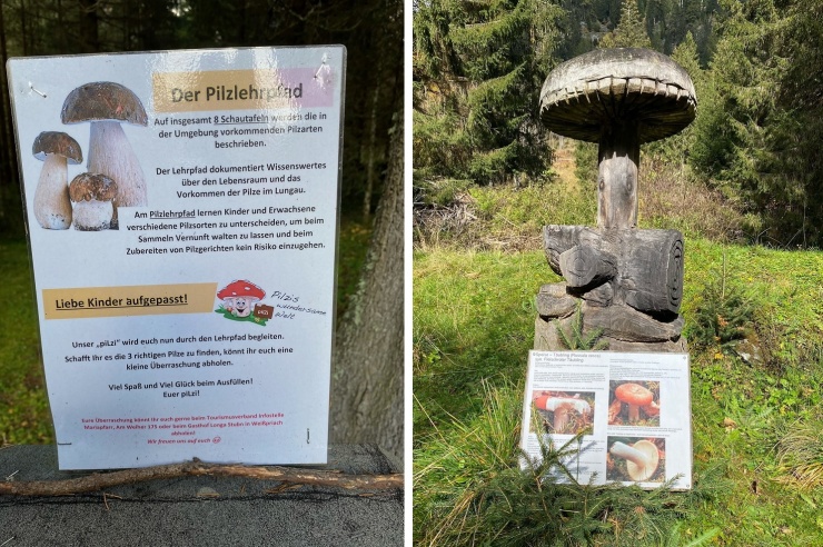 Quelle: Dieses Foto wurde von Jens Stakemeier ausschließlich für die Präsentation auf Freizeitinfo kostenlos zur Verfügung gestellt.