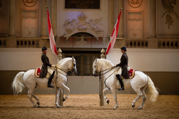 Quelle: Spanische Hofreitschule